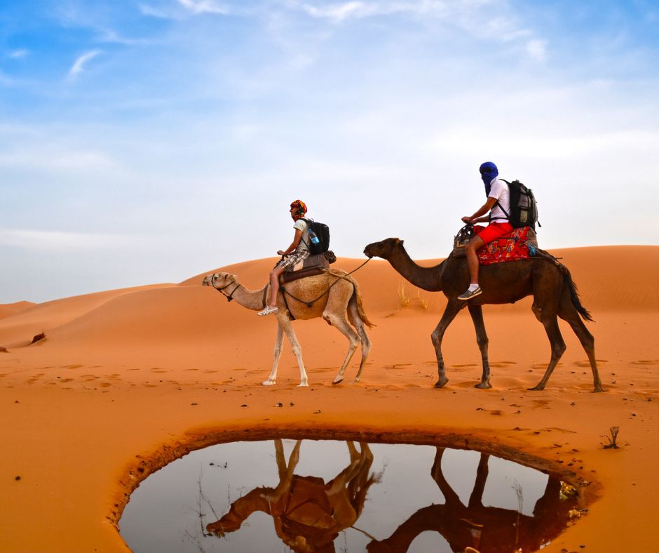 Travel Experience